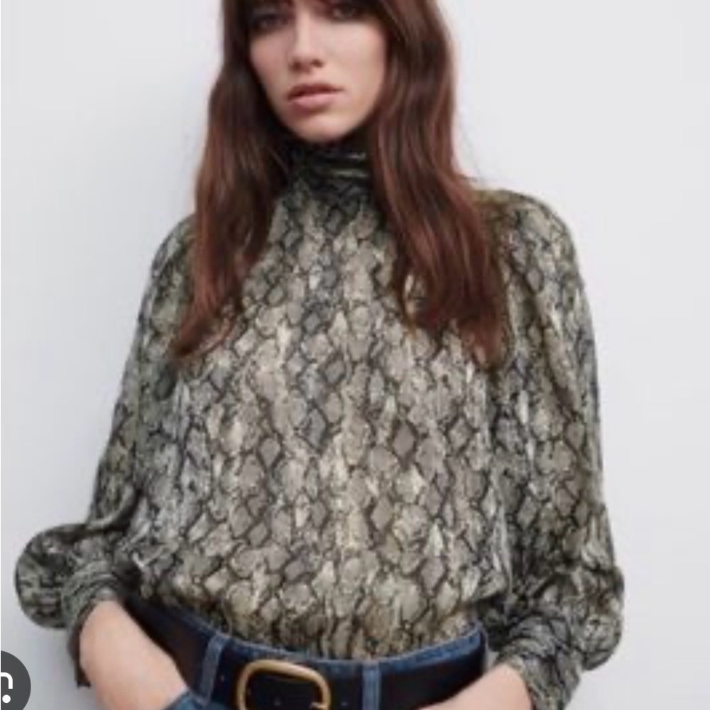 Zara Snake Print Blouse with High Neck